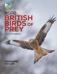 bokomslag RSPB British Birds of Prey