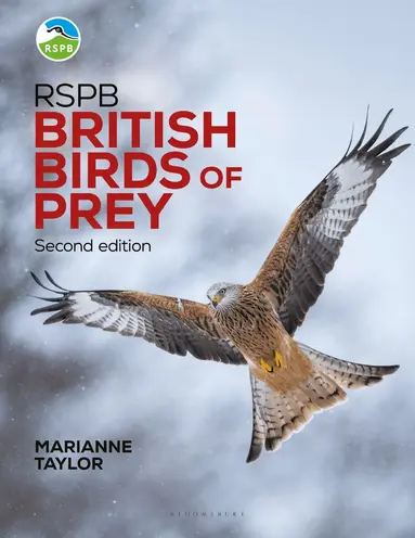 Marianne Taylor - RSPB British Birds of Prey, Inbunden