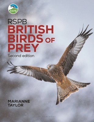 bokomslag RSPB British Birds of Prey