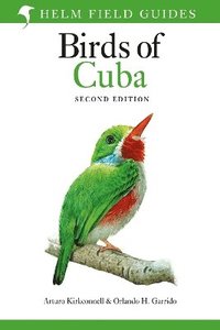 bokomslag Field Guide to the Birds of Cuba