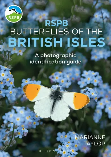 Marianne Taylor - RSPB Butterflies of the British Isles, Häftad