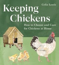 bokomslag Keeping Chickens