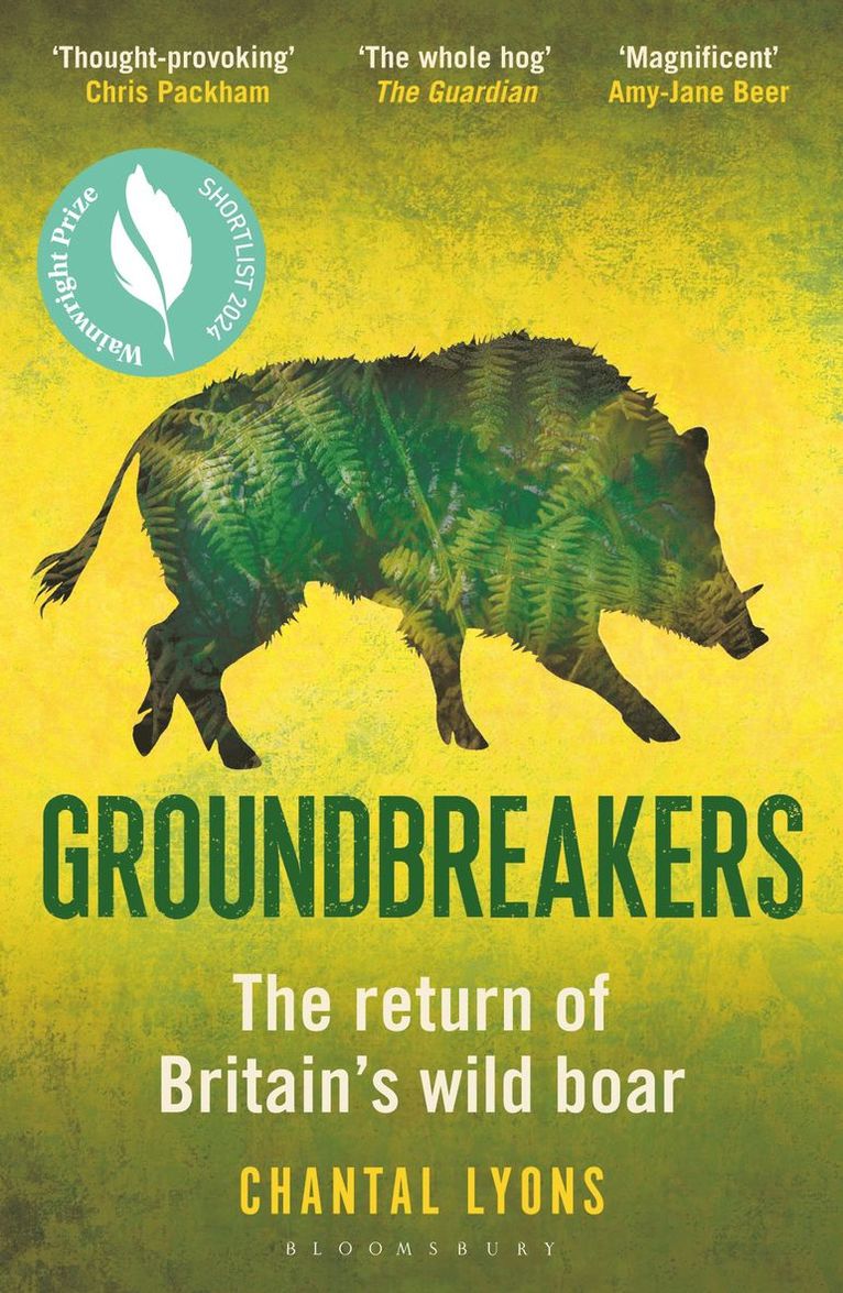 Groundbreakers 1