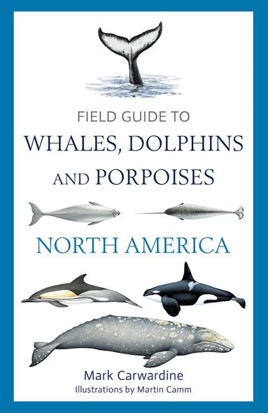 Mark Carwardine - Field Guide to Whales, Dolphins and Porpoises of North America, Häftad