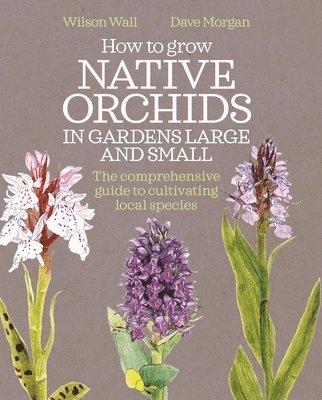 bokomslag How to Grow Native Orchids in Gardens Large and Small