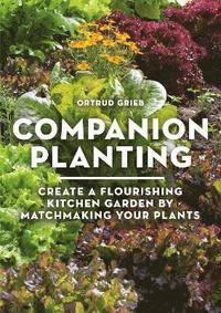 bokomslag Companion Planting
