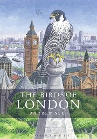 bokomslag Birds of London