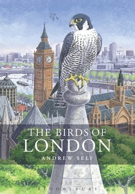 bokomslag Birds of London