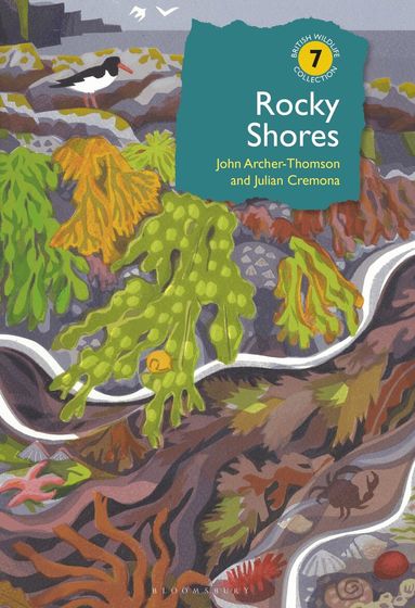 John Archer-Thomson, Julian Cremona - Rocky Shores, Inbunden
