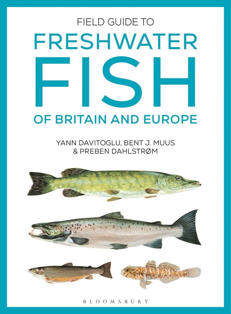 Yann Davitoglu, Bent J. Muus, François Desbordes, Preben Dahlstrøm - Field Guide to Freshwater Fish of Britain and Europe, Häftad. Tillgänglighet: Kommande
