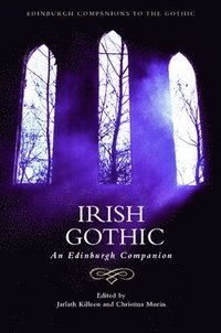 bokomslag Irish Gothic