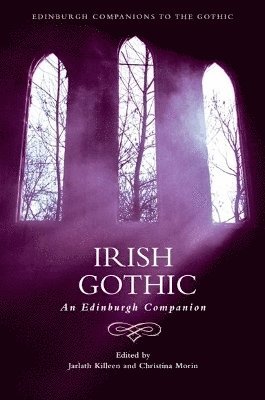 bokomslag Irish Gothic