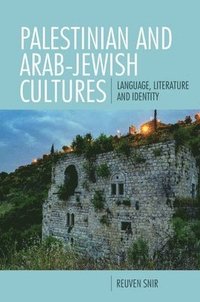 bokomslag Palestinian and Arab-Jewish Cultures