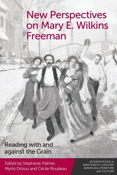 Stephanie Palmer, Myrto Drizou, Cécile Roudeau - New Perspectives on Mary E. Wilkins Freeman, Häftad
