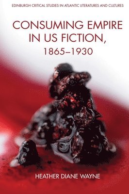 bokomslag Consuming Empire in U.S. Fiction, 1865 1930