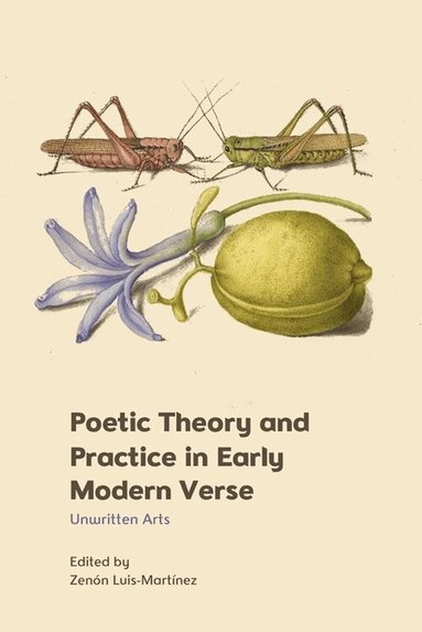 Zenón Luis-Martínez - Poetic Theory and Practice in Early Modern Verse, Häftad