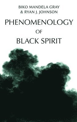 Phenomenology of Black Spirit 1