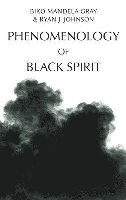 bokomslag Phenomenology of Black Spirit