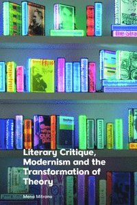 bokomslag Literary Critique  Modernism and the Transformation of Theory