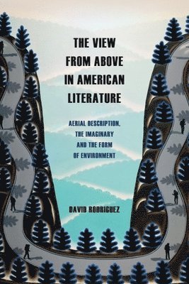 bokomslag View from Above in American Literature