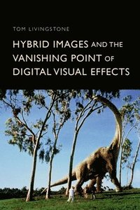 bokomslag Hybrid Images and the Vanishing Point of Digital Visual Effects