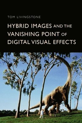 Hybrid Images and the Vanishing Point of Digital Visual Effects 1