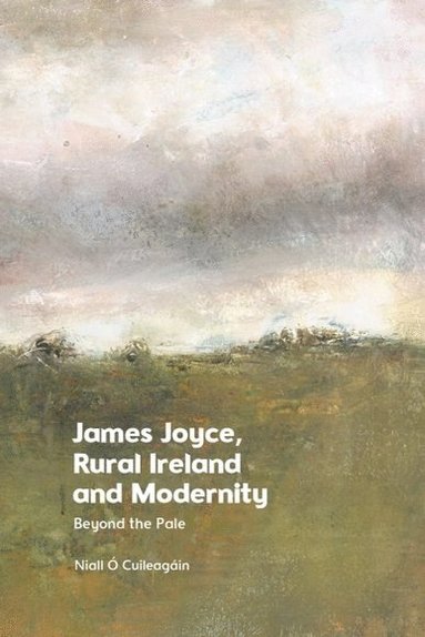 bokomslag James Joyce, Rural Ireland and Modernity