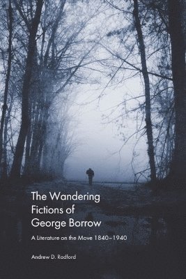 bokomslag The Wandering Fictions of George Borrow