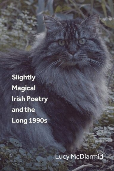 Lucy McDiarmid - Slightly Magical Irish Poetry and the Long 1990s, Inbunden