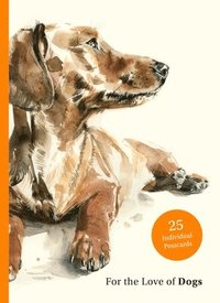 bokomslag For the Love of Dogs: 25 Postcards