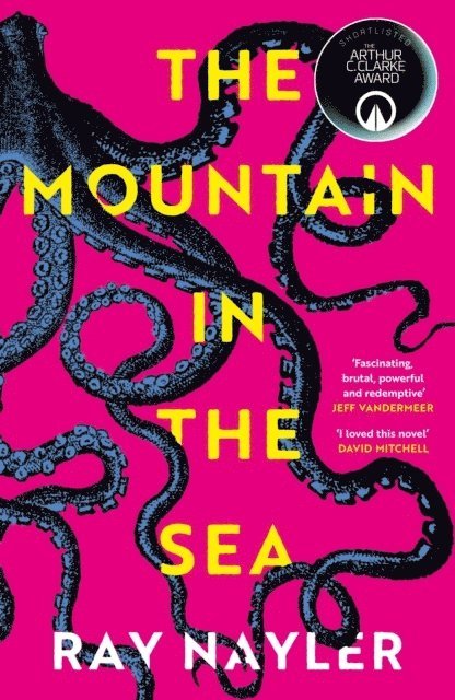 The Mountain in the Sea 1