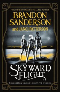 bokomslag Sanderson, B: Skyward Flight