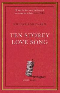 bokomslag Ten Storey Love Song
