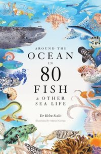 bokomslag Around the Ocean in 80 Fish and other Sea Life