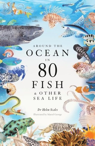 Helen Scales - Around the Ocean in 80 Fish and other Sea Life, Inbunden