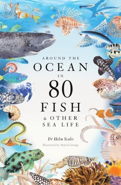 Around the Ocean in 80 Fish and other Sea Life 1