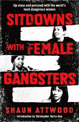 bokomslag Sitdowns with Female Gangsters