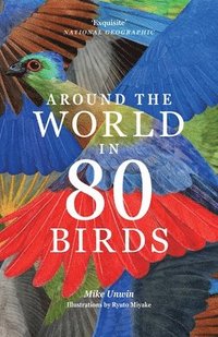 bokomslag Around the World in 80 Birds