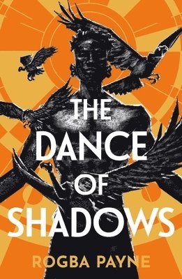 bokomslag Dance of Shadows