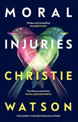 bokomslag Watson, C: Moral Injuries
