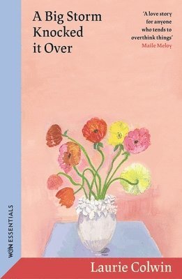 Laurie Colwin - Big Storm Knocked it Over, Häftad