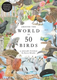 Pussel 1000 bitar Around the World in 50 Birds