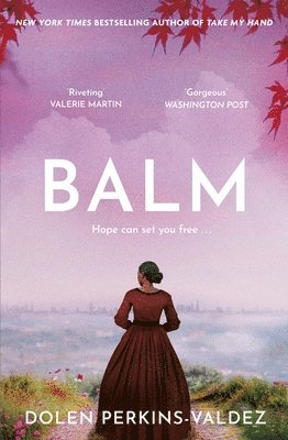 Dolen Perkins-Valdez - Balm, Häftad
