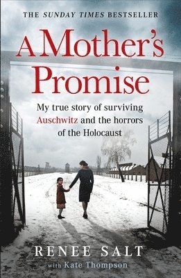 bokomslag A Mother's Promise