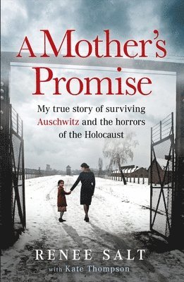 bokomslag Mother's Promise