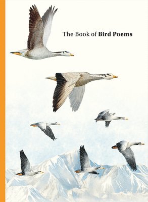 Ana Sampson - Book of Bird Poems, Inbunden