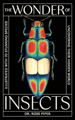 bokomslag Wonder of Insects: Uncovering their Hidden World