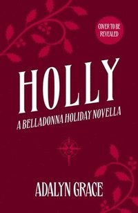 bokomslag Holly