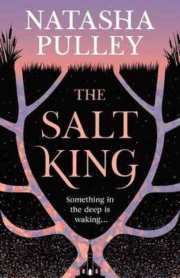 Natasha Pulley - Salt King, Häftad