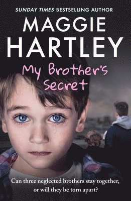 Maggie Hartley - My Brother's Secret, Häftad